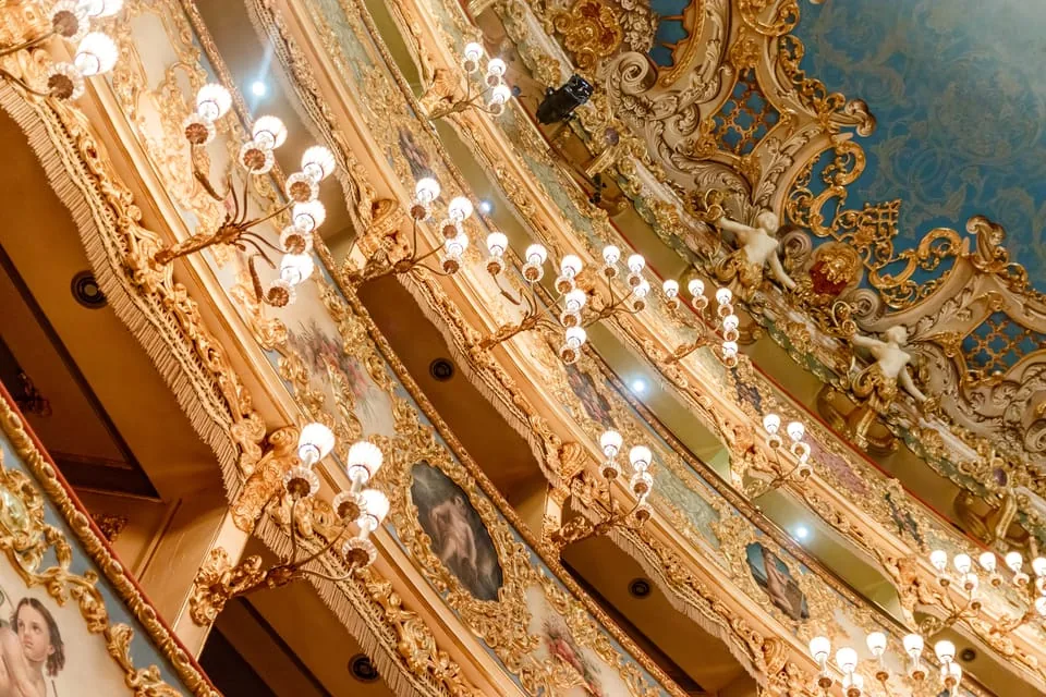 The Majestic Teatro La Fenice: Guided Tour
